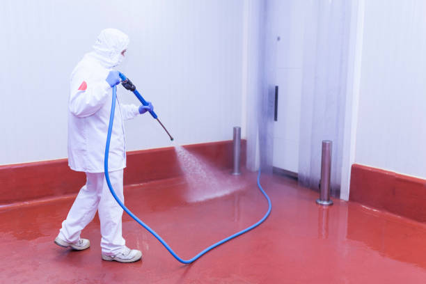 Professional Pressure Washing in Wilsonville, OR